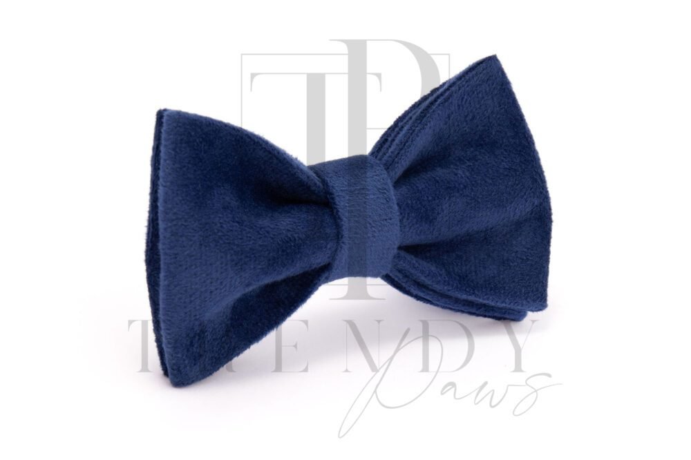 Blue velvet dogs bow ties