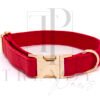 Red velvet dog collar