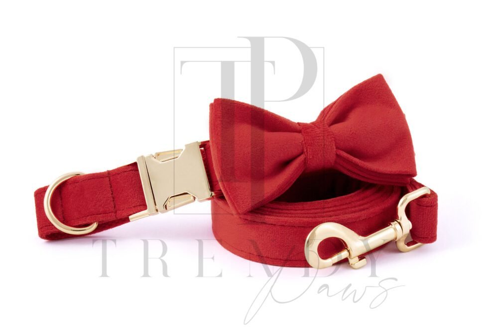 Red velvet dog collar and bowtie, leashes