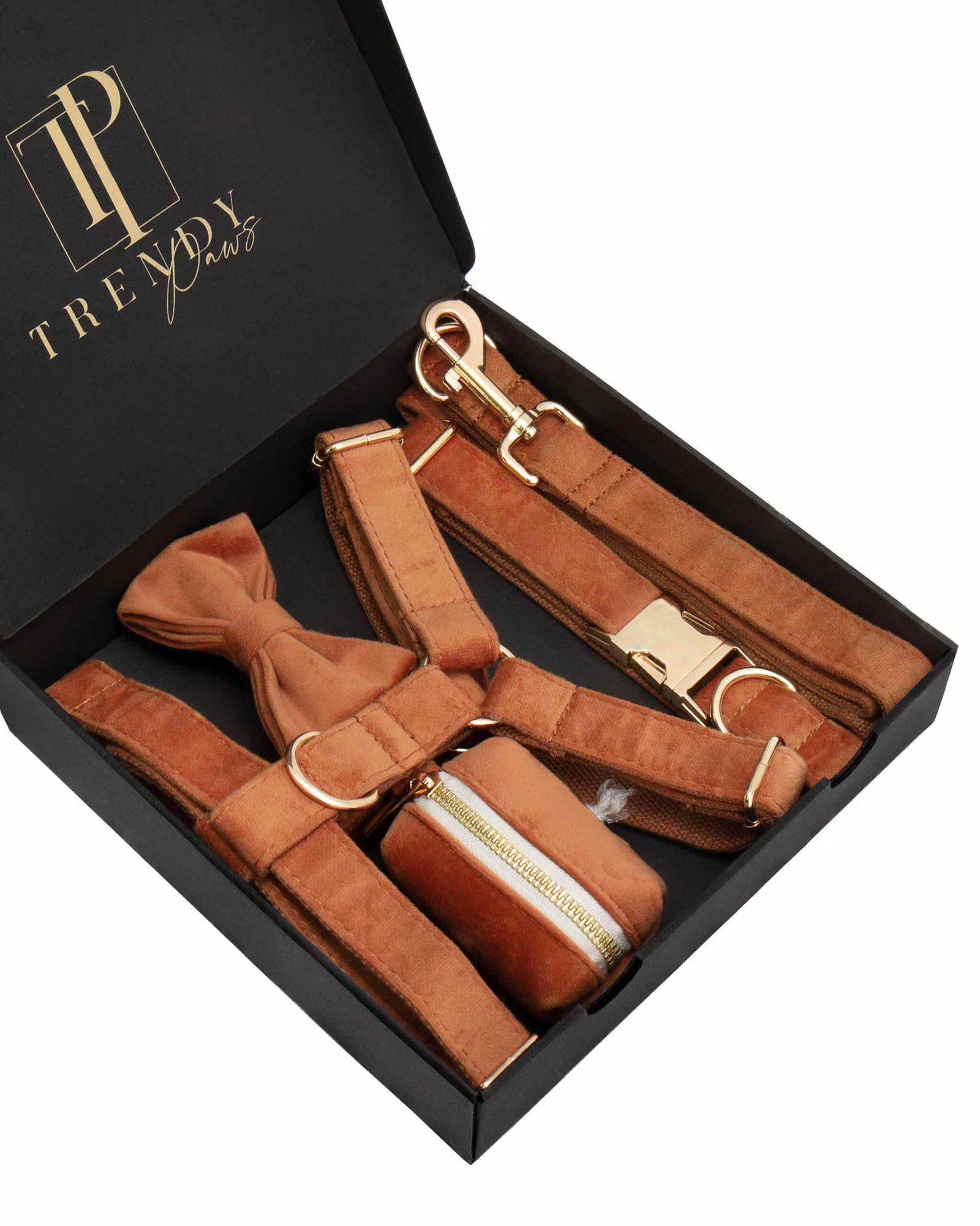 Trendy Paws komplektas šuniui, petnešos, antkaklis, peteliškė, pavadėlis