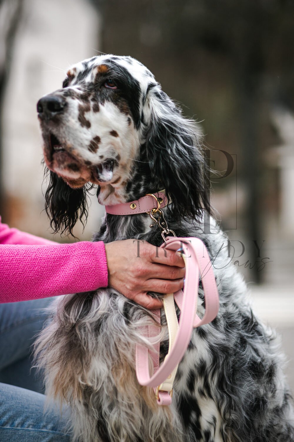 Trendy paws odinis rožinis pavadėlis šuniui