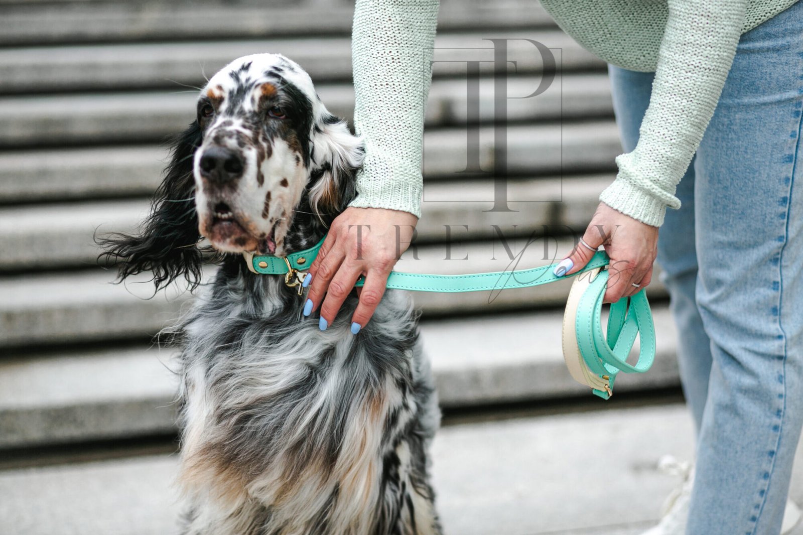 Trendy paws žalias odinis pavadėlis.