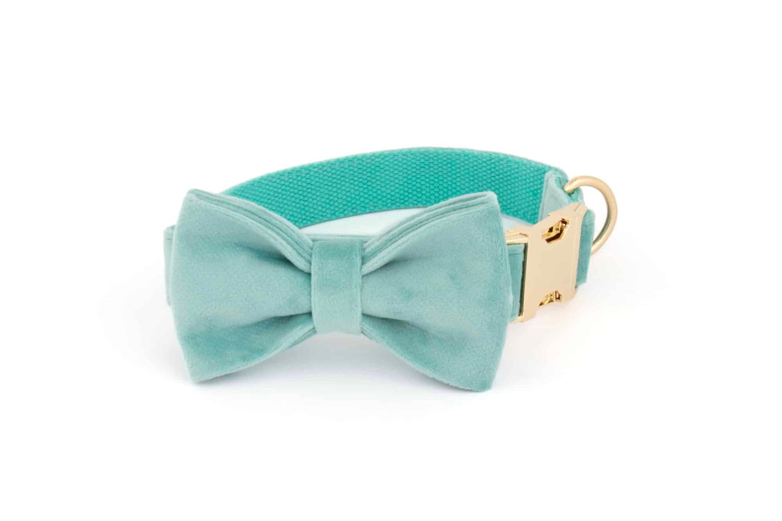Trendy paws šuns peteliškė ant antkaklio mėtų