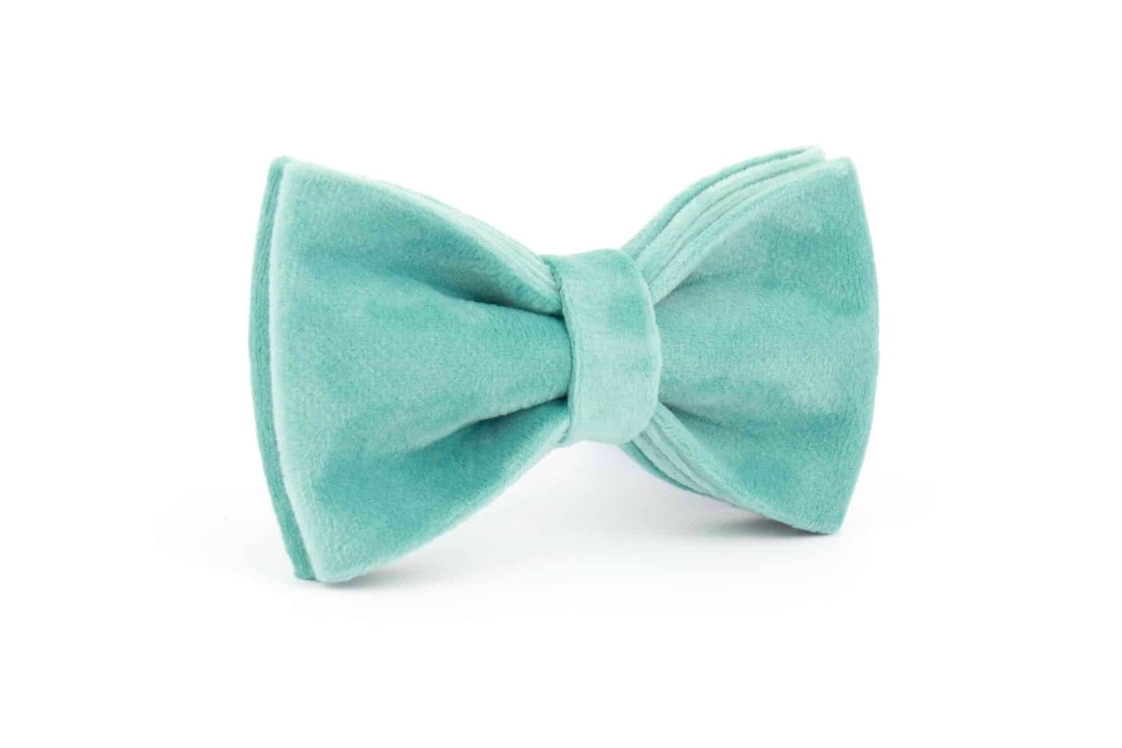 Trendy paws šuns peteliškė mėtų