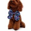 Trendy Paws bandana - skara šuniui, elegantiška ir stilinga tinka šventėms