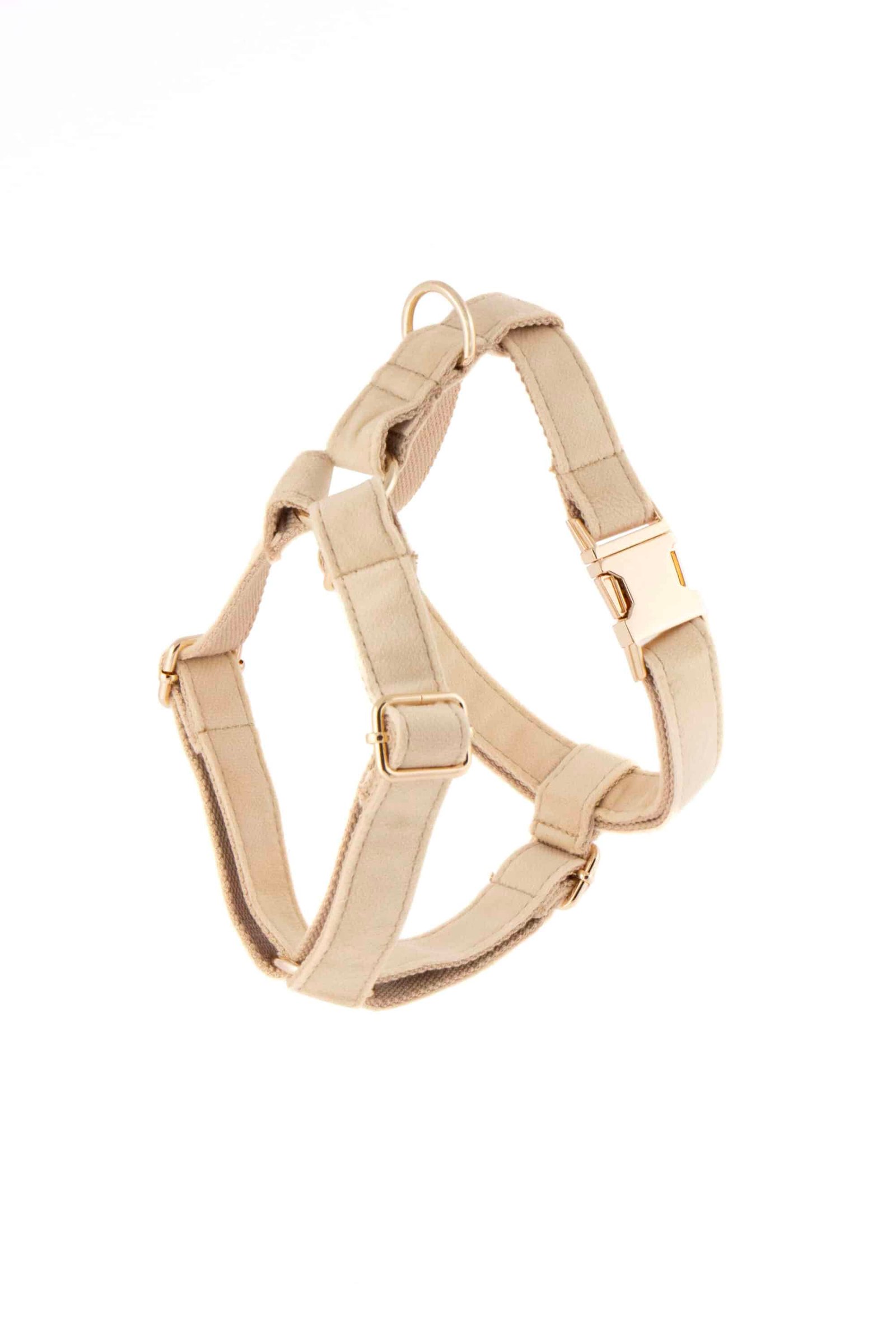 Trendy paws petnešos šuniui stilingos kreminės