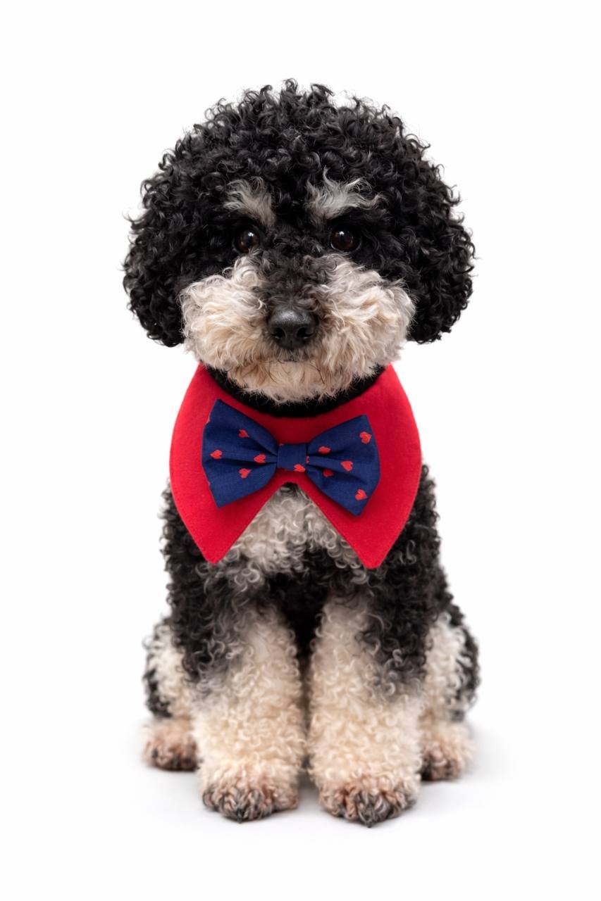 Trendy paws šuns džentelmeno bandana