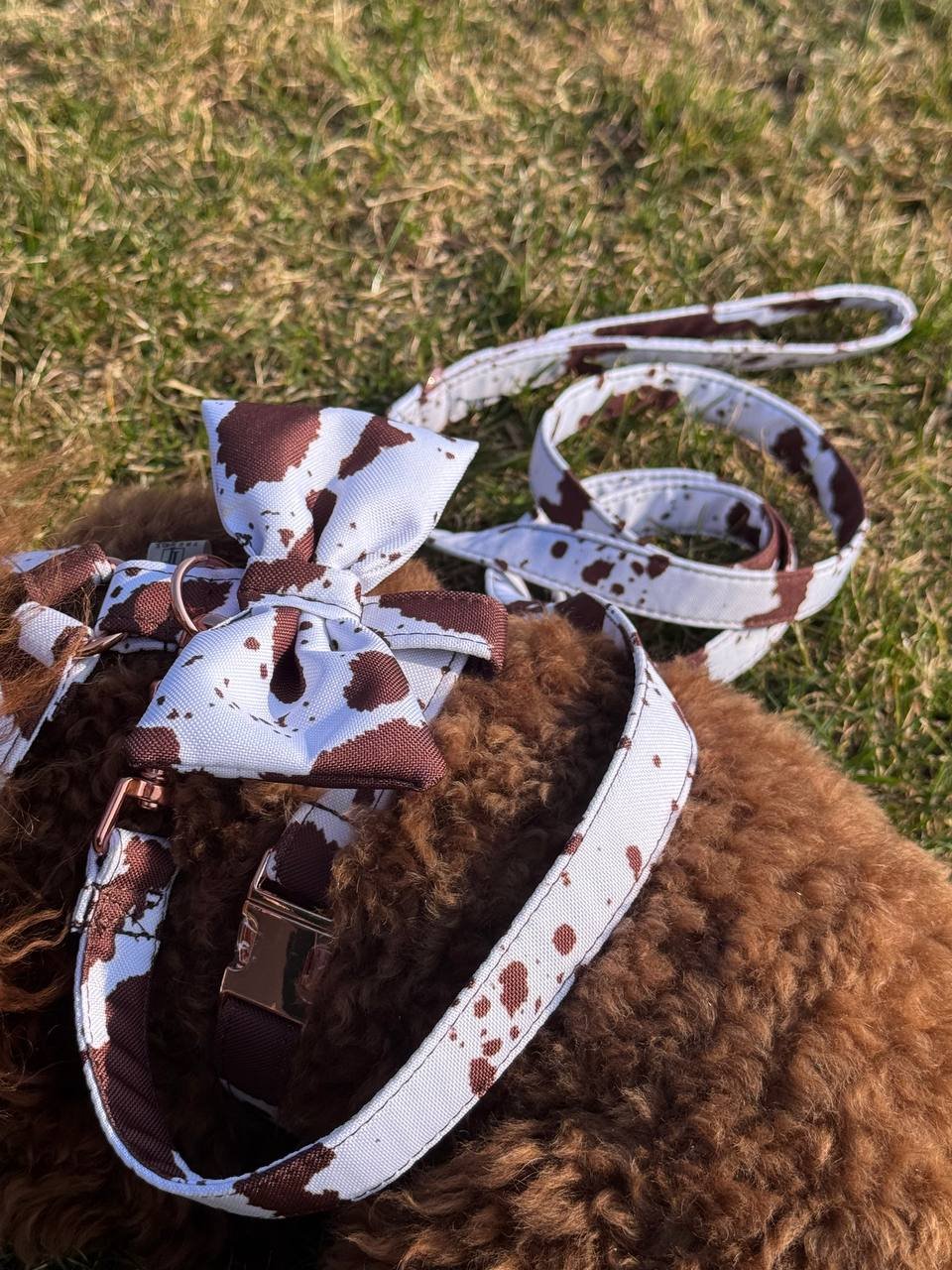 Trendy paws pavadėlis šuniui