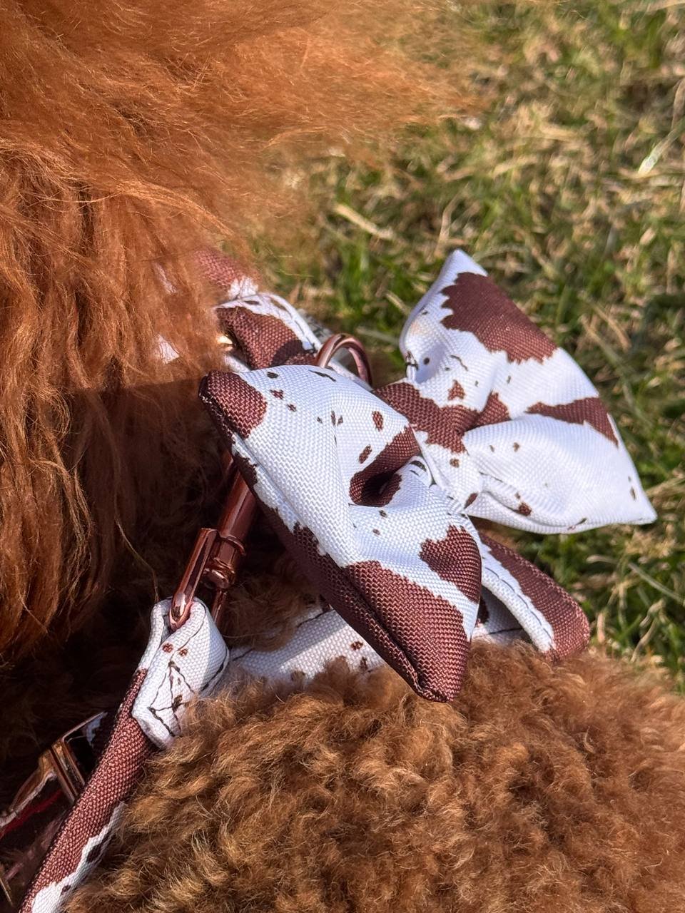 Trendy paws petnešos šuniui