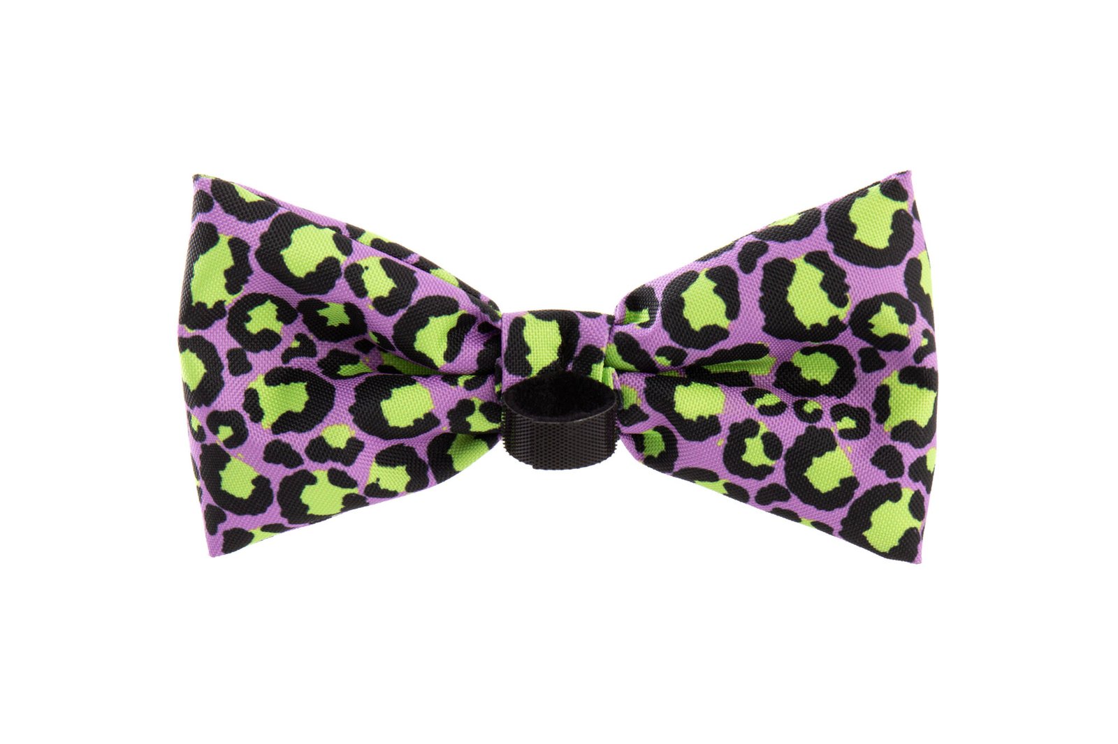 Trendy Paws peteliškė - sparnai šuniui