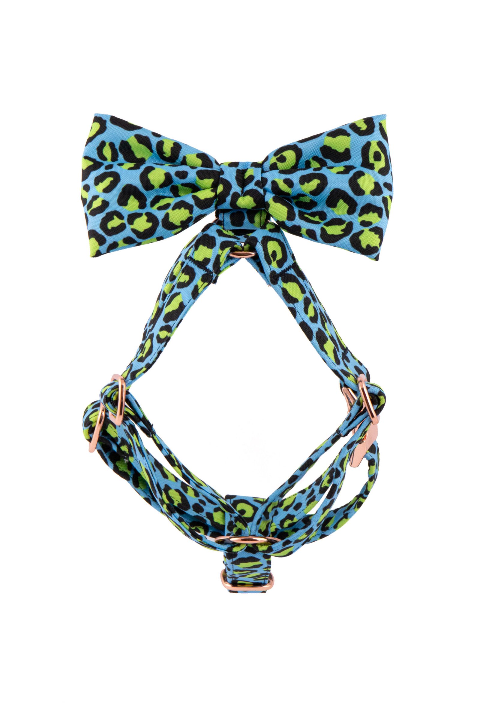Šuns aksesuarų komplektas „Neon Leo Blue“ - Image 6