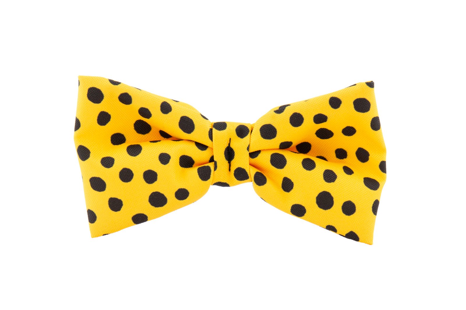 Trendy Paws šuns geltona peteliškė sparnai