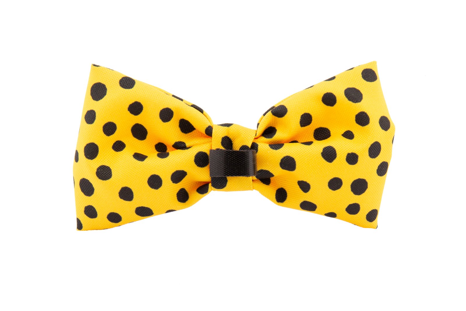 Trendy Paws šuns geltona peteliškė sparnai.