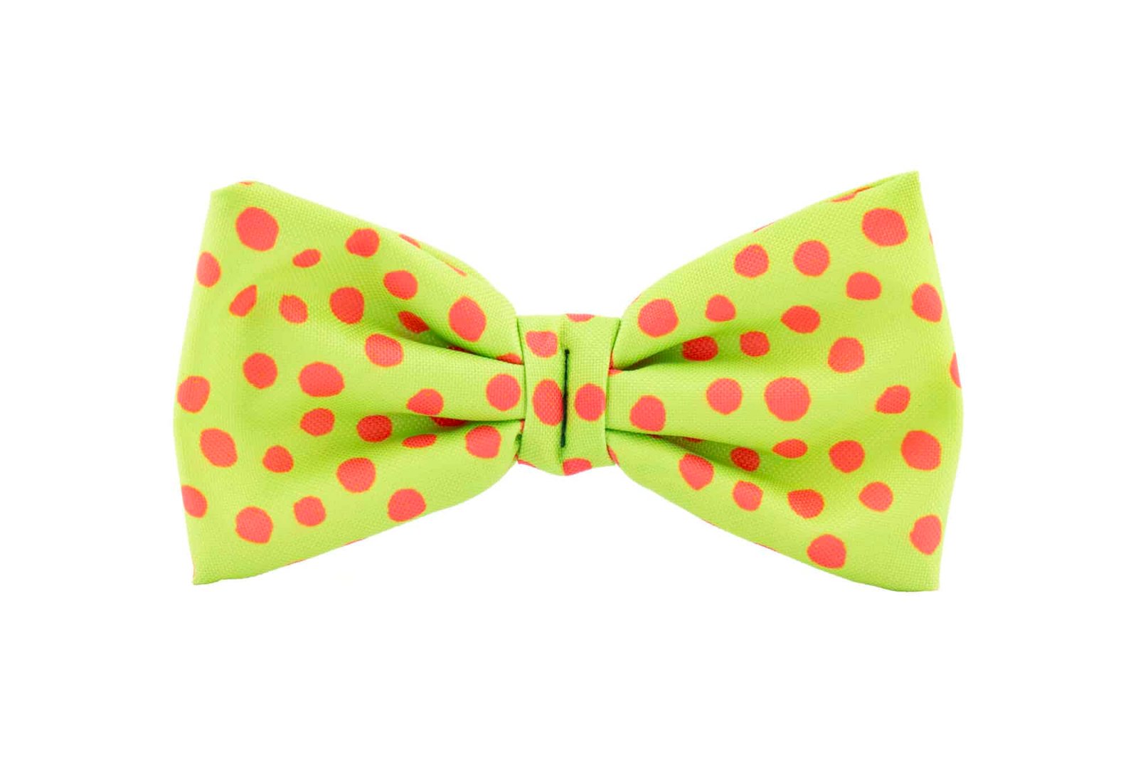 Trendy Paws šuns peteliškė sparnai